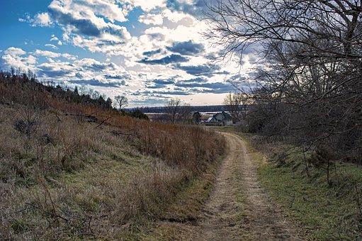 �����όW��ʲô����