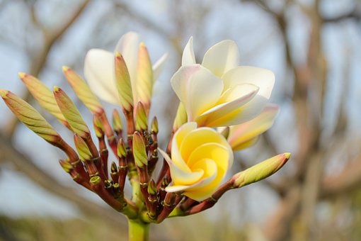 高中生男孩談戀愛怎么辦