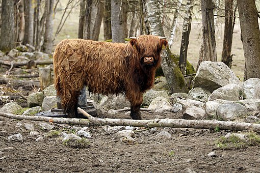 ����ȱ����ȫ����ô��Q