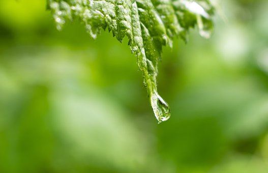 ������ָ��(d��o)���[Ó�e�`�ļҽ̷��������L����