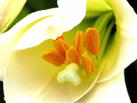 8�q�������n�����vԒ��ô�k