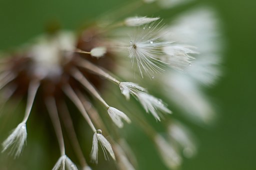 ��ϣ�F��������ѭ�ļ�ͥ����10��ԭ�t