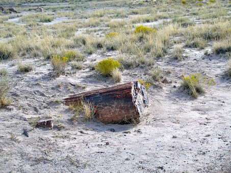 高二學生談戀愛算早戀,家長如何引導和教育