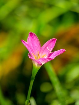 女兒不想去上學怎么辦