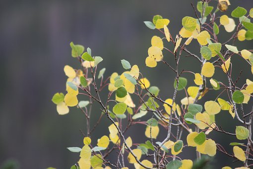 ��ǰ������ݴ��w  �߿��_���Z�ď������h