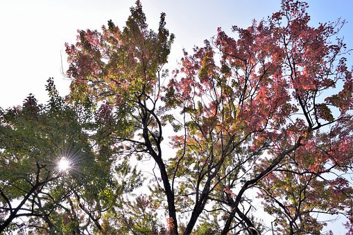 ӛ������֪�R