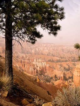 С�W�����nС����̫����ô�k