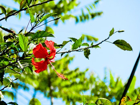 15�q�W(xu��)���z�W(xu��)�ܸ�ʲô