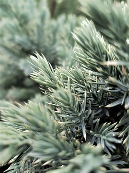 期中考試后,給高三學生和家長的建議