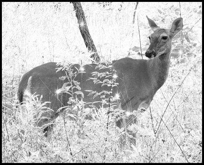 ����������������΄��f