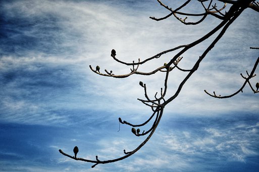 孩子被同學孤立最好的解決辦法