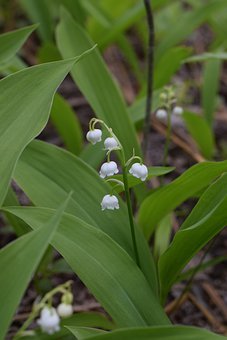 ���ӌ����Iĥ����ô�k��ʲô�÷���