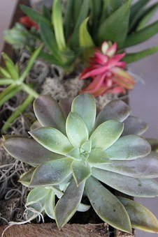 �ώ����R���Ӹ�ĸԓ��ô��