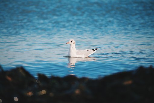 ����ÿ�ο�ԇ���o��?ji��n)�ô��Q