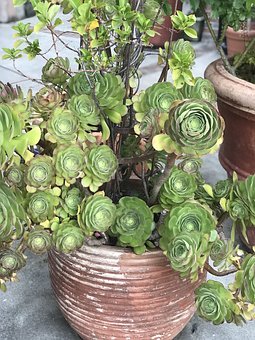 �߿��ɹ����P�I