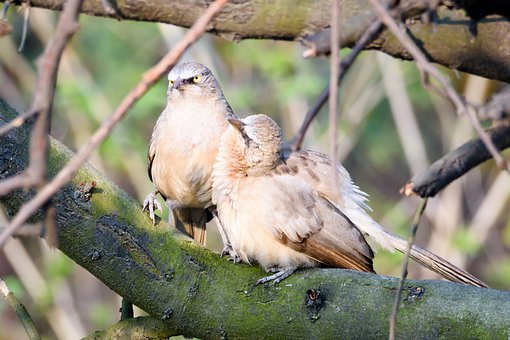 青少年沉迷手機的原因及解決策略