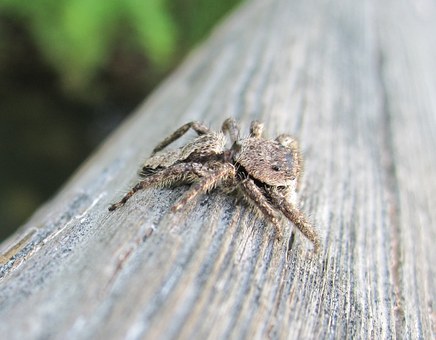 ���L���]�����Y�����ӌW���Ͱl(f��)չ��Ӱ�