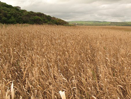 �������ҷ�������ν̕����ӽ�Q���}�������x�ҳ���