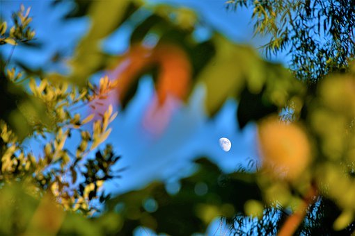 ���B�����̵ĺ��ӣ��P�I���ɺ���Ҫ����