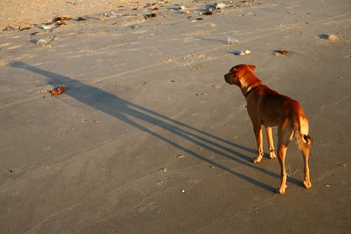 高一物理怎么學(xué)?從s-t圖和v-t圖開始理清思路