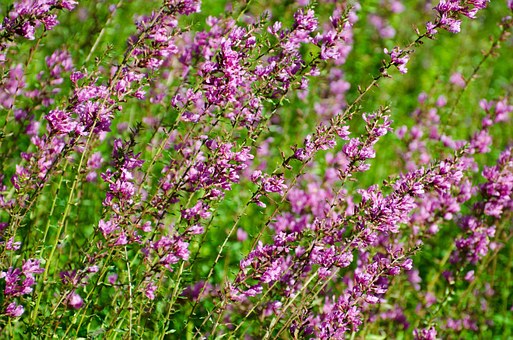 �ഺ�ں������R��ĸ��ԭ��̎������