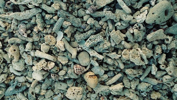 高中學生心理壓力大如何疏導