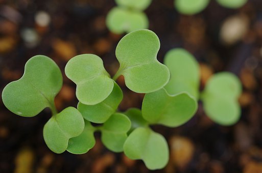 С�����ی����I����ԓ��ԓ��