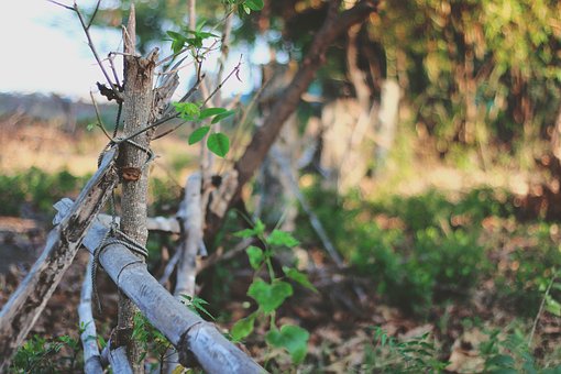 英語閱讀理解的解題技巧