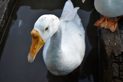家長與老師的溝通:幫助孩子提高學(xué)習(xí)成績的關(guān)鍵