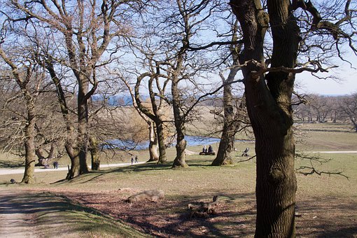 �߿��ӷ������{�� �㿼�r��߀�h��