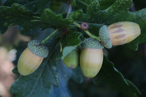 孩子被宿舍人孤立該怎么開導