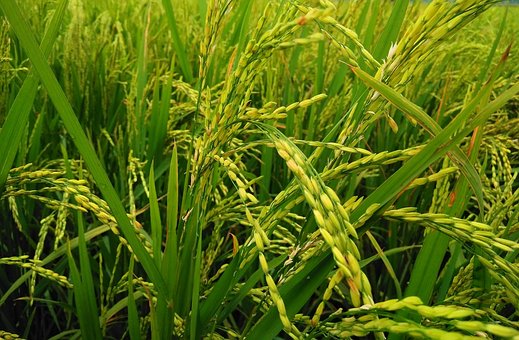 15�qŮ���� Ԓ������ô�k