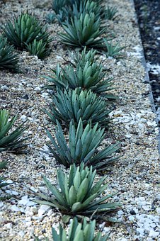 13歲女孩子叛逆期怎么教育:多鼓勵(lì)和包容,積極剖析原因并對(duì)癥處理,適當(dāng)培養(yǎng)興趣愛好或運(yùn)動(dòng)。