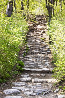 ���к��ӌ��όW�����dȤ��ô�k