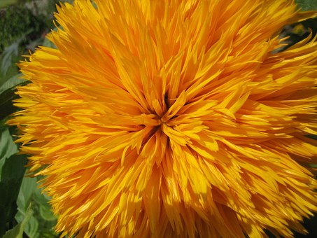 ���ӳ��Կƻ�С�f��ô�k