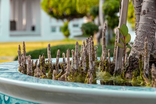 ��Щ����K�����挍��б��_��Ԓ��֮ʮ����