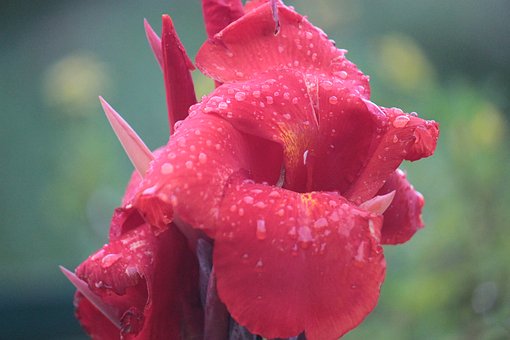 初一數(shù)學(xué)必學(xué)必考的21個知識點(diǎn),你都復(fù)習(xí)全面了嗎?