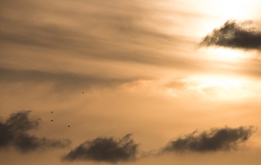 С�������I(y��)����������������������ô�k