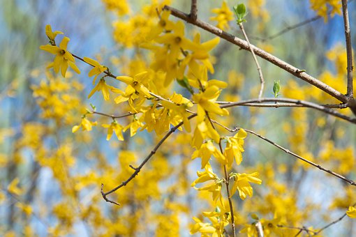 ����ί�T�������W��ƴ�����͘Iƴ�D