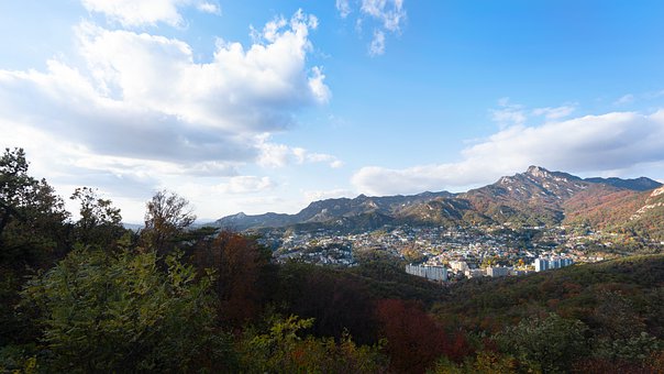 �����H���Pϵ������������������c���L��ͨ