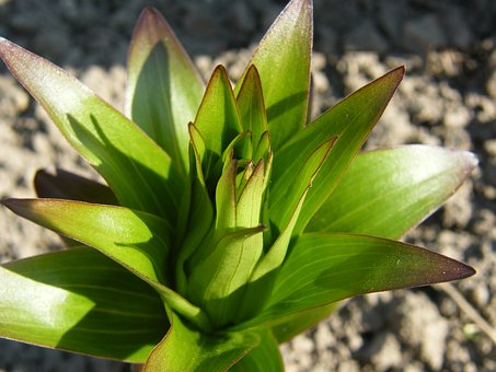 �����z�W�����ϸ��І�