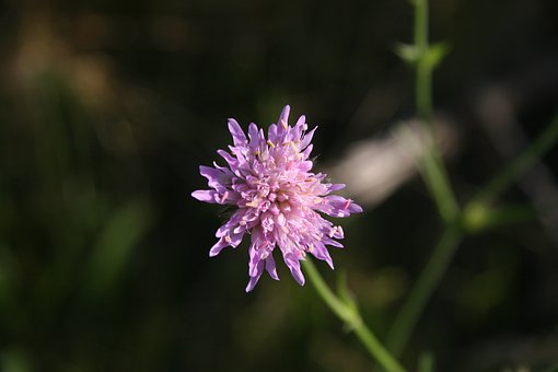 ��ν�Q���ӵą��W����