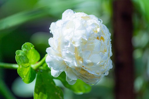 ���Ӳ� Ԓ�ώ�׌���L���x