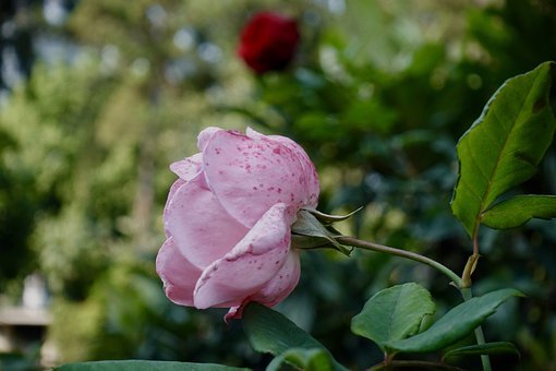 һ��һ����ǰ�ߡ������Д��W�W�������\Մ