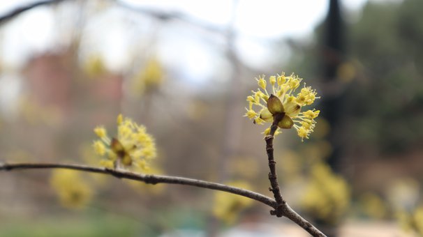 孩子初三厭學(xué)不想上學(xué)的解決方法