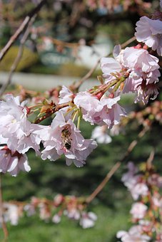 家長課堂:輔導孩子寫家庭作業的四大技巧