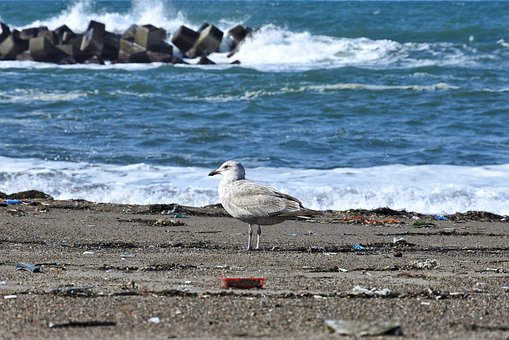 ���R�����Ӻͼ��L��Ӱ푼���Q�k��