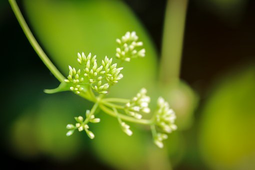 ���Ӳ����J(r��n)�e�`��ж؟(z��)����ô�k