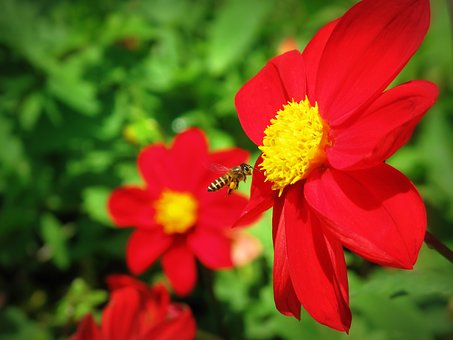 ��������ٳɿ��½���ô�k