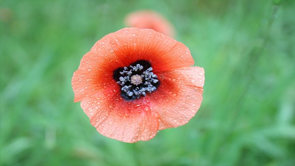 ���ӽ���֙C(j��)�������Ч�ķ���